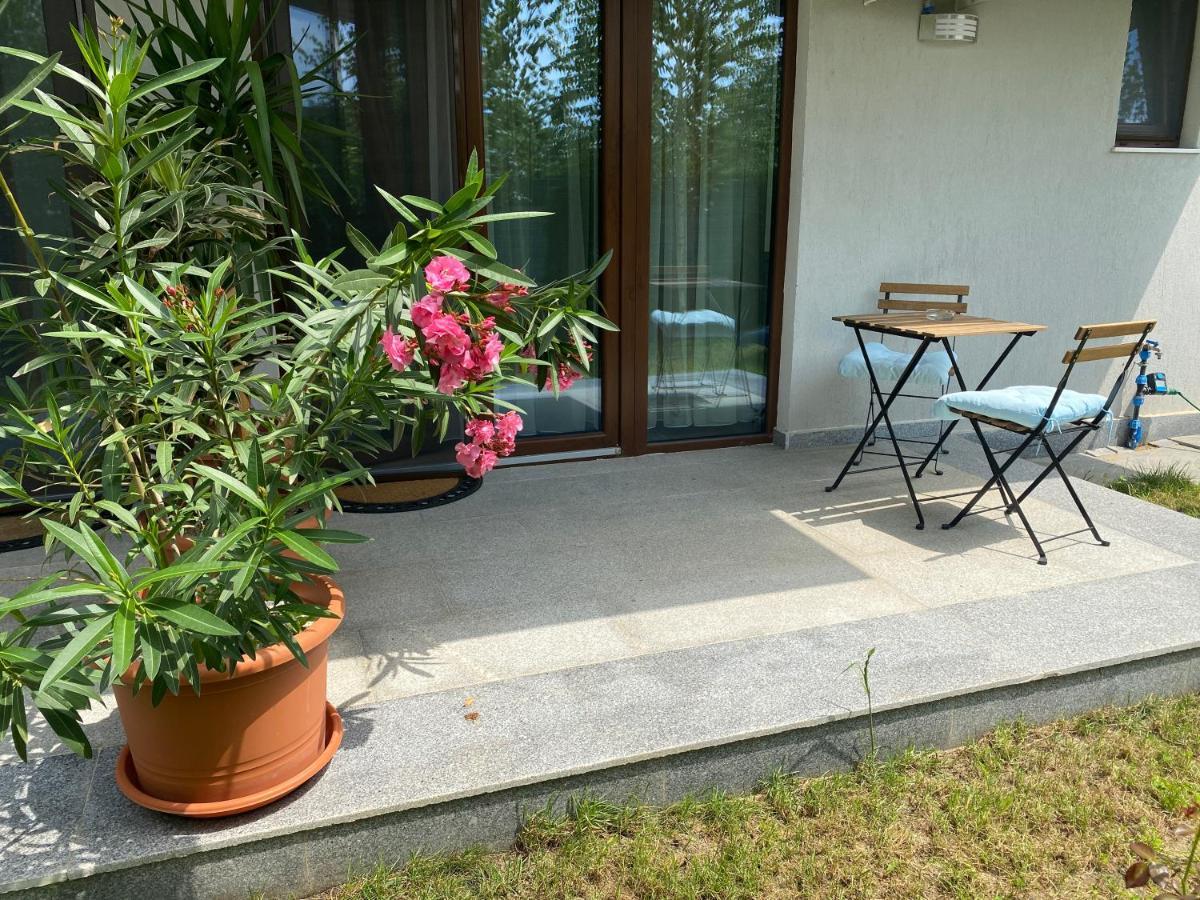 Aviator Boutique Residence Otopeni Exterior foto