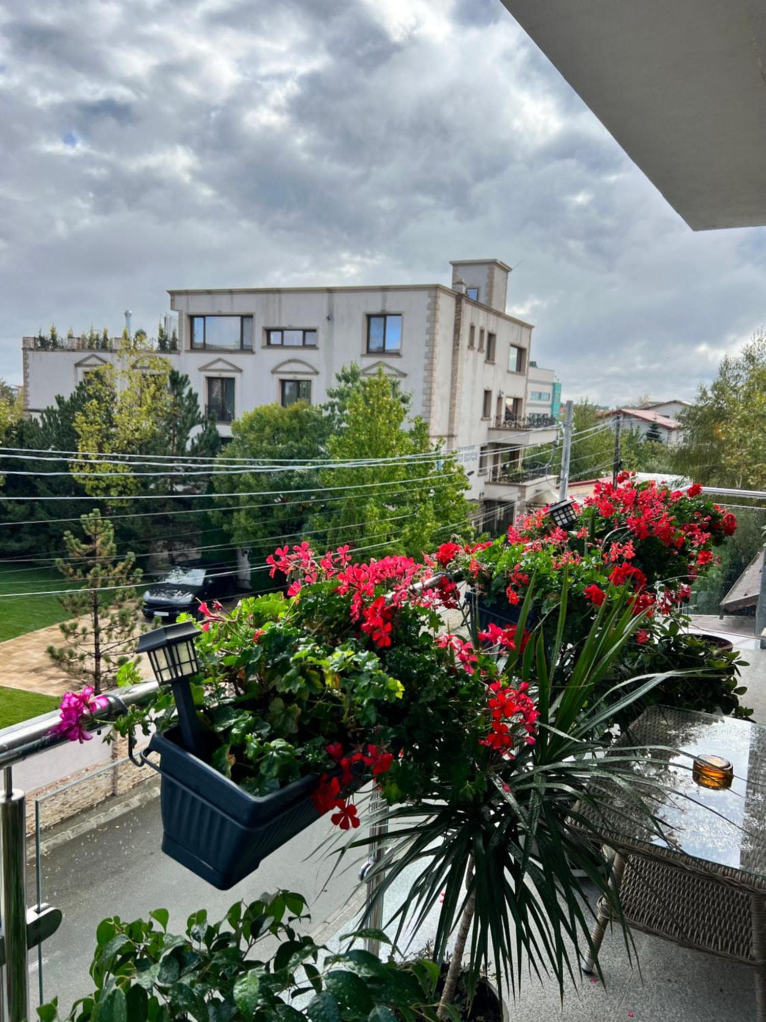 Aviator Boutique Residence Otopeni Exterior foto