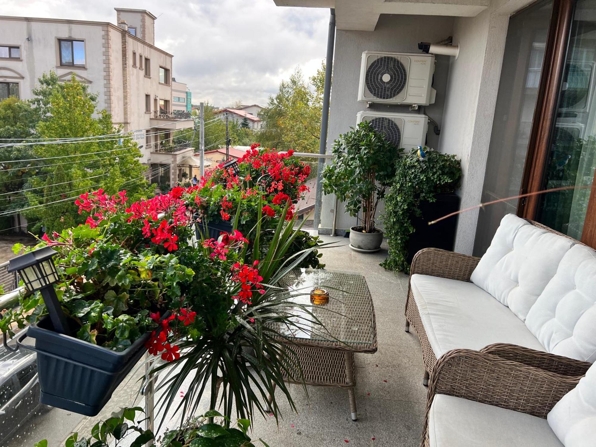 Aviator Boutique Residence Otopeni Exterior foto
